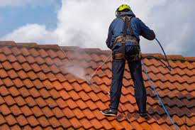 The Benefits of Professional Roof Cleaning Services